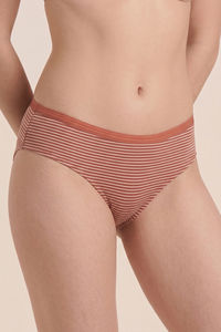Zivame Regular Rise Full Coverage Hipster Panty (Pack of 3) - Multicolor — thumbnail 5